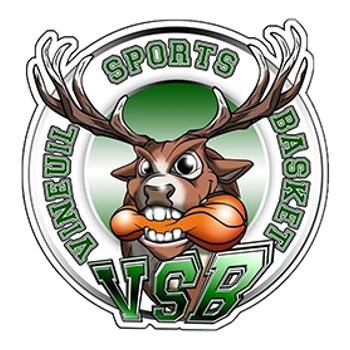 VINEUIL SPORTS BASKET 