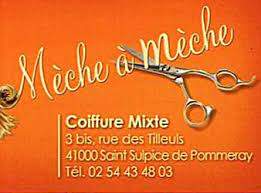 Coiffure Mèche à mèche